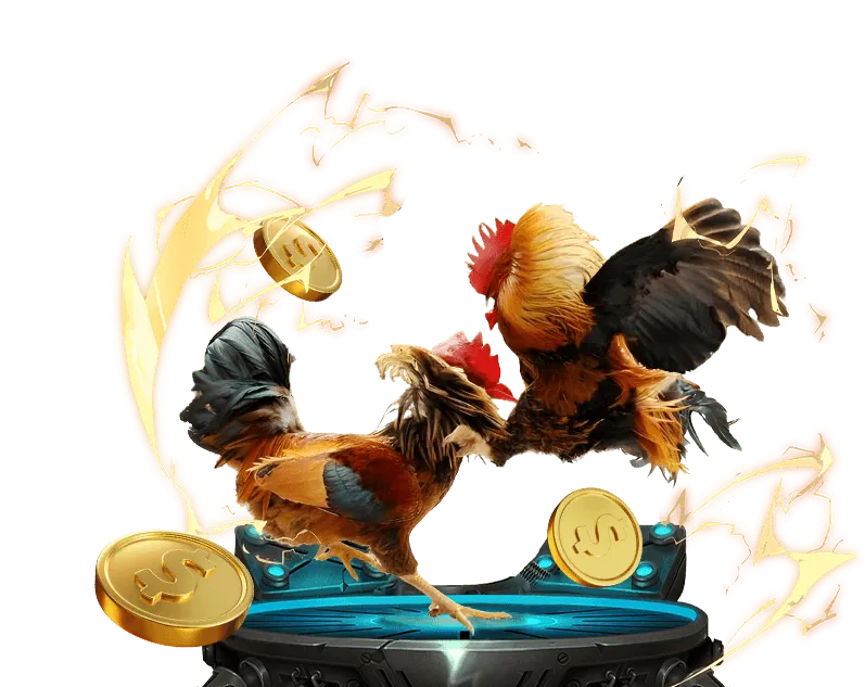 Các lựa chọn kèo cược đá gà đa dạng tại B52